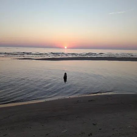 Lape * Palanga